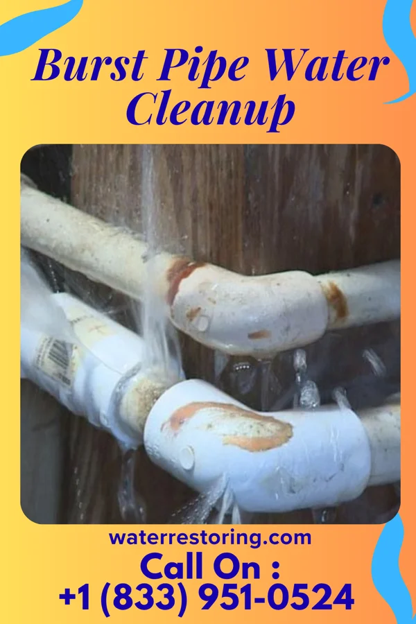 Burst Pipe Water Cleanup in Mishawaka, IN