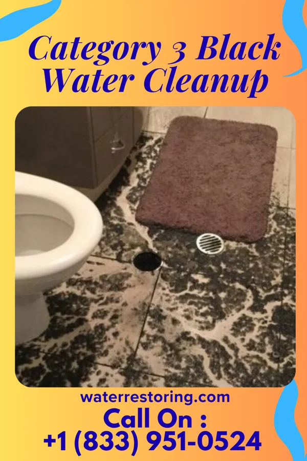 Category 3 Black Water Cleanup in Mishawaka, IN