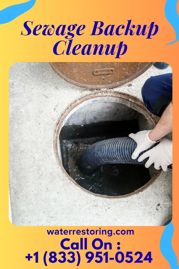 Sewage Backup Cleanup in Mishawaka, IN