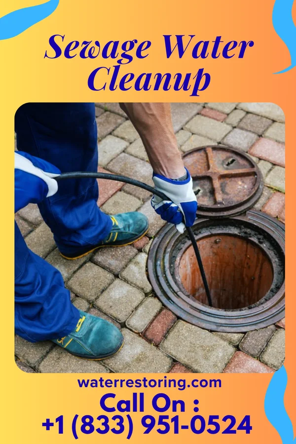 Sewage Water Cleanup in Mishawaka, IN