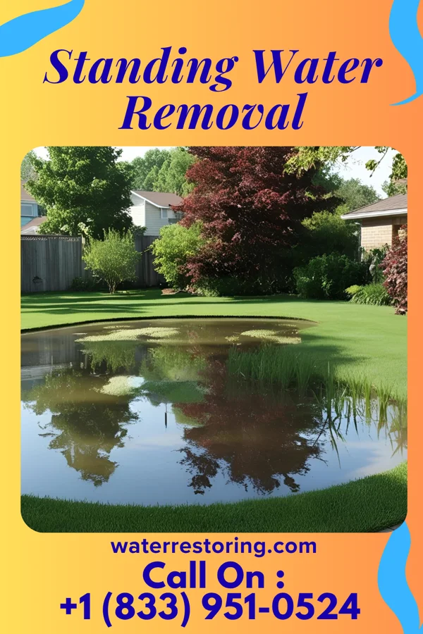 Standing Water Removal in Mishawaka, IN